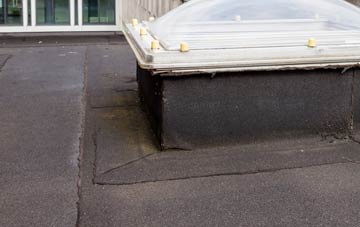 disadvantages of Hanwood flat roofs