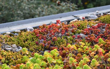 the cost of Hanwood green roof installation