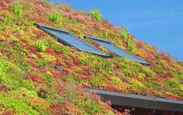 Hanwood living roof systems